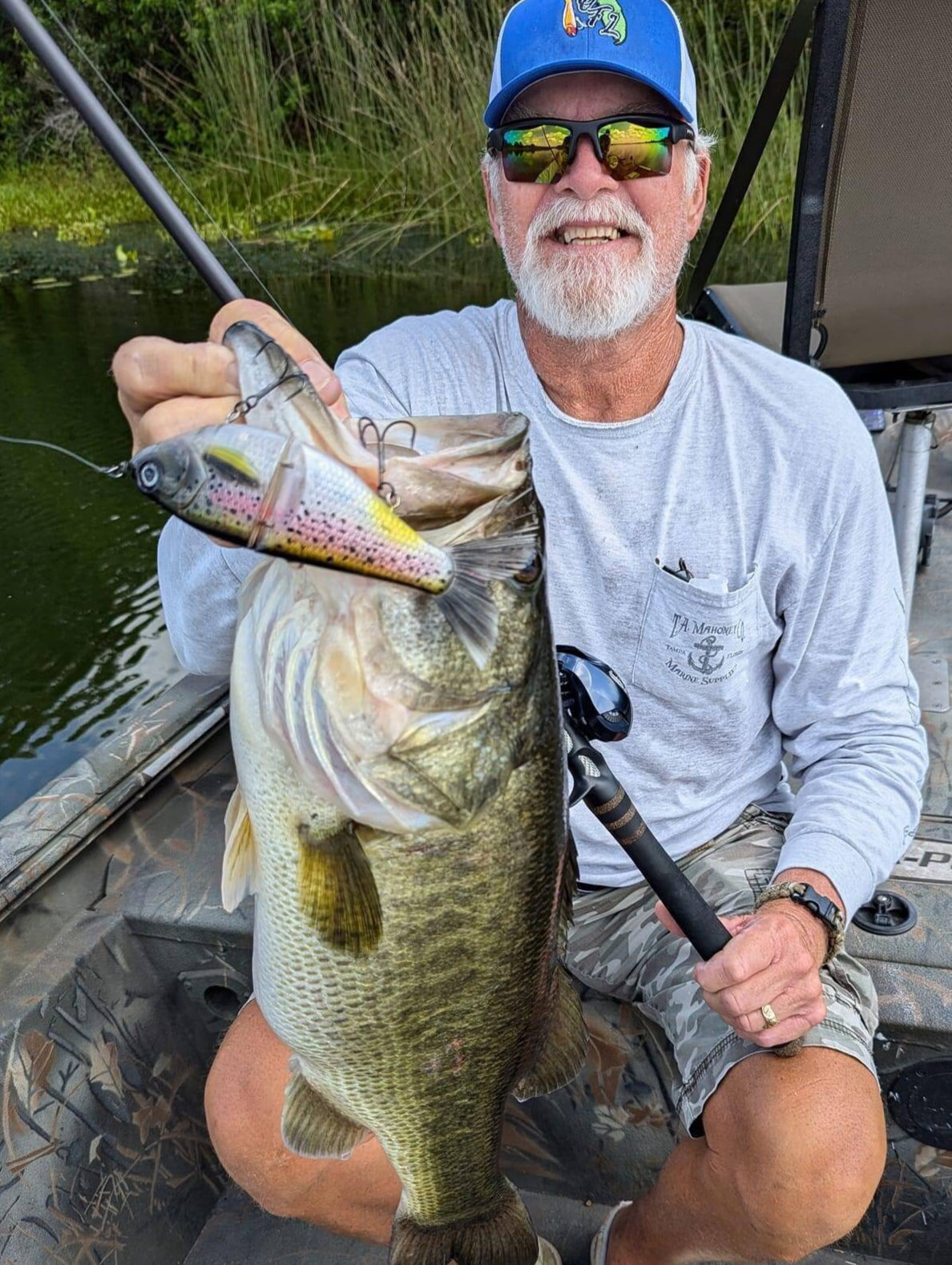 Glide Baits and Swim Baits