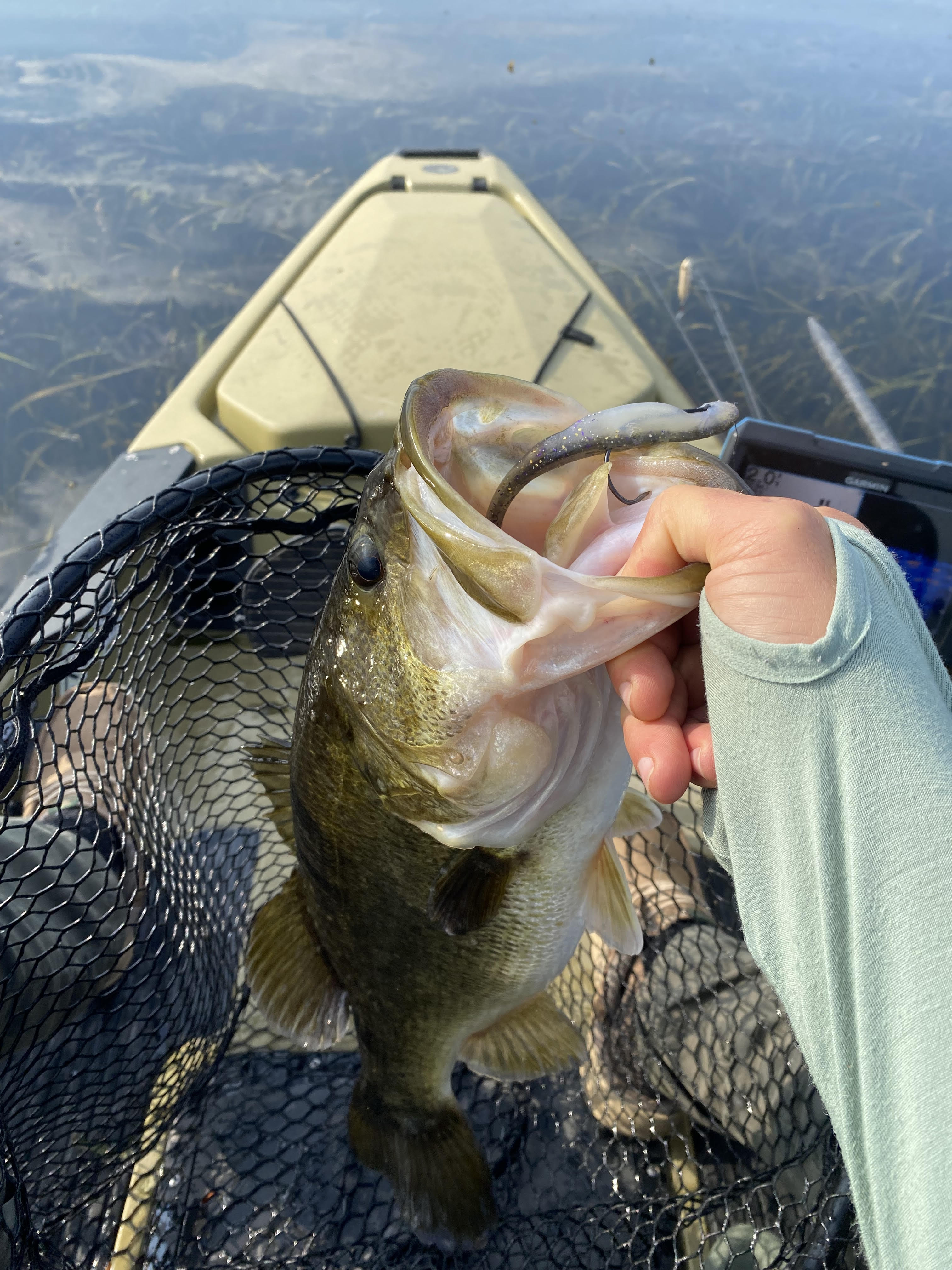 X Zone Baits