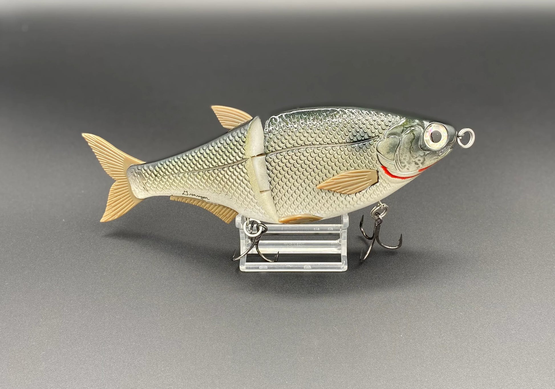 Big Debrah Gizzard Shad